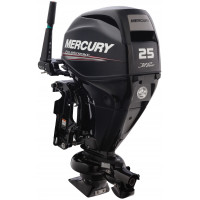Mercury Jet 25 MLH GA EFI